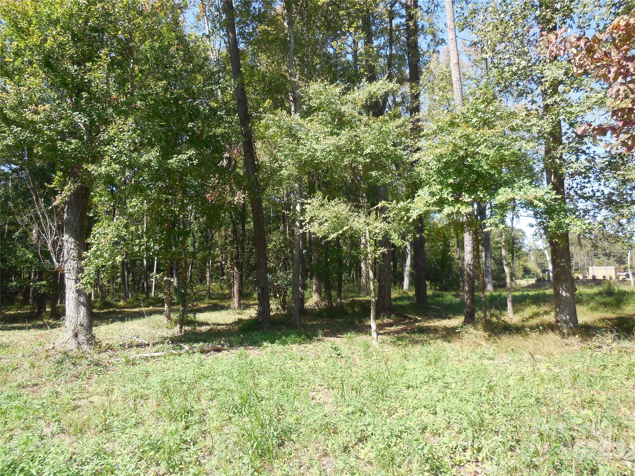 1 Woodland Road, Unit 1 Matthews, NC 28104 - Photo 3 of 3 Gallery Image 3