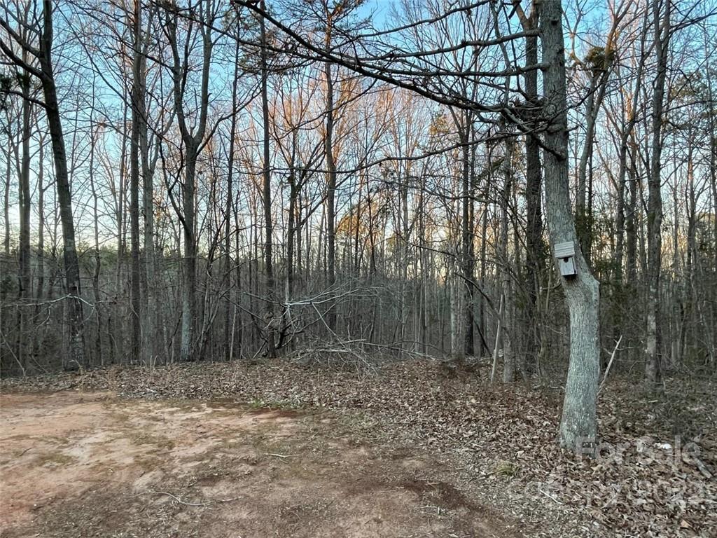 247 Tirzah Church Road, Unit 3 Lancaster, SC 29720 - Photo 30 of 31 a backyard of a house with lots of trees