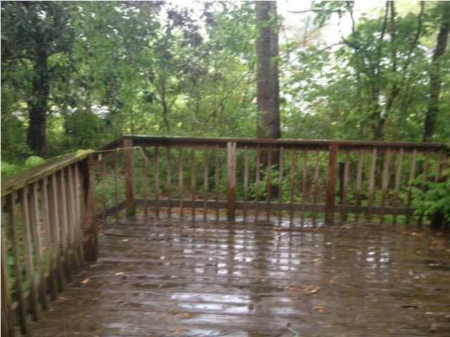 245 Magnolia Drive Raleigh, MS 39153 - Photo 3 of 4 Photo 3