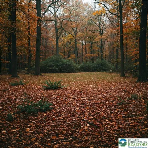 a view of backyard with green space