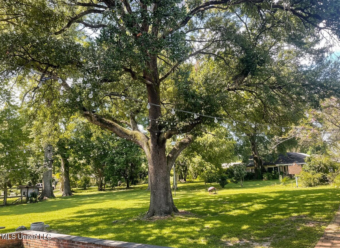 101 Riverside Street Vidalia, LA 71373 - Photo 52 of 68 IMG_9397