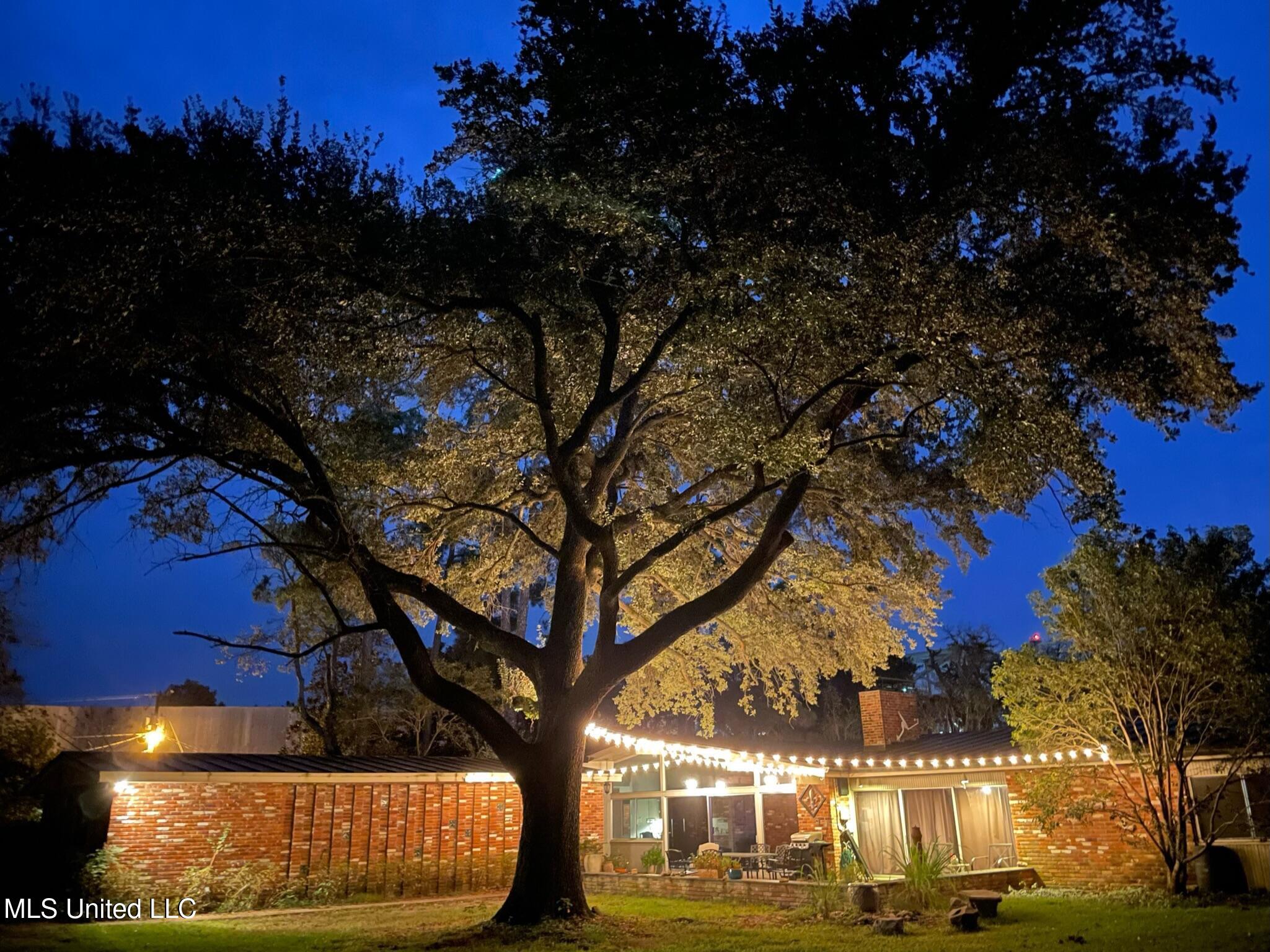 101 Riverside Street Vidalia, LA 71373 - Photo 61 of 68 IMG_4119