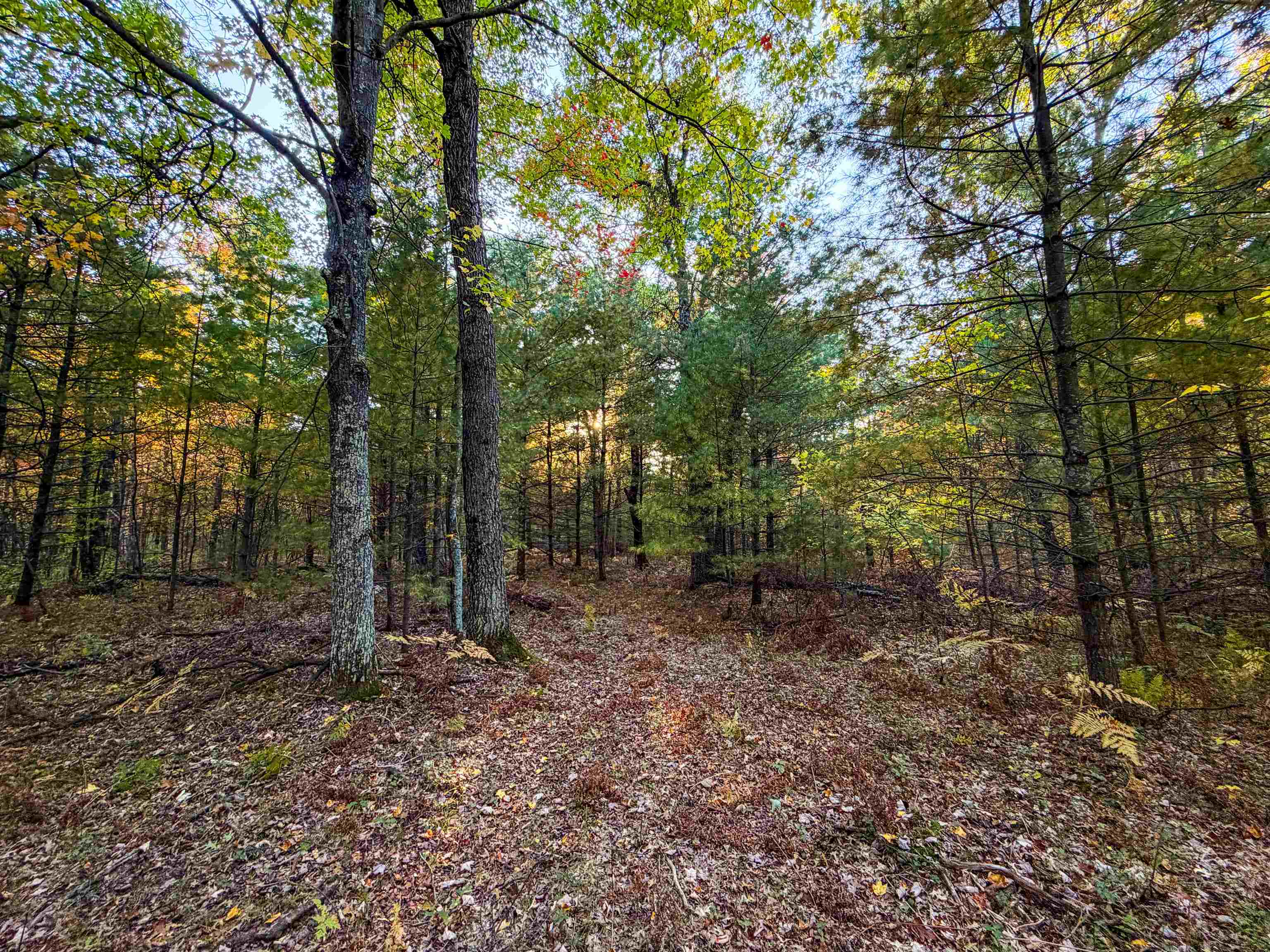 0 Mckenna Warrens, WI 54666 - Photo 50 of 70 Gallery Image 50