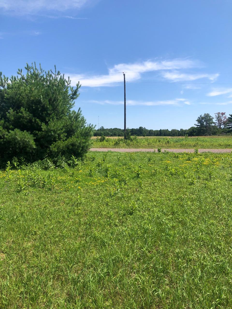 On Boyer Road, Unit LOT 5 Mercer, WI 54547 - Photo 10 of 12 Gallery Image 10