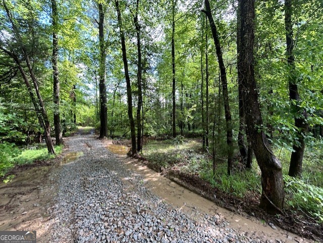 0 Silas Mercer Road Northeast Crawfordville, GA 30631 - Photo 5 of 12