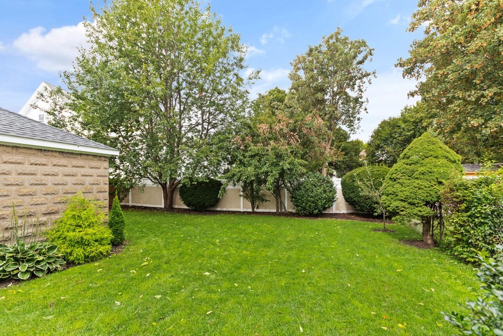 6 Rawson Road, Unit 1 Arlington, MA 02474 - Photo 30 of 31 Gallery Image 30