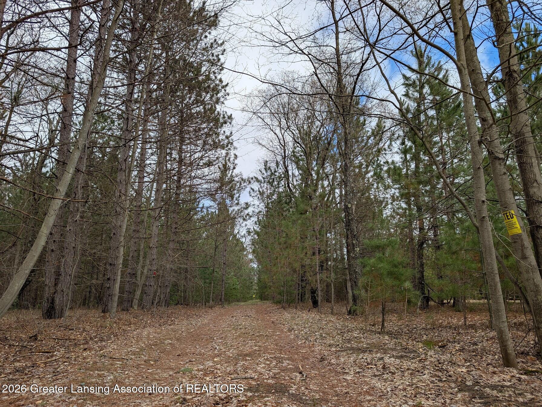 15744 Creamery Road Kaleva, MI 49645 - Photo 5 of 17 Creamery Rd easement