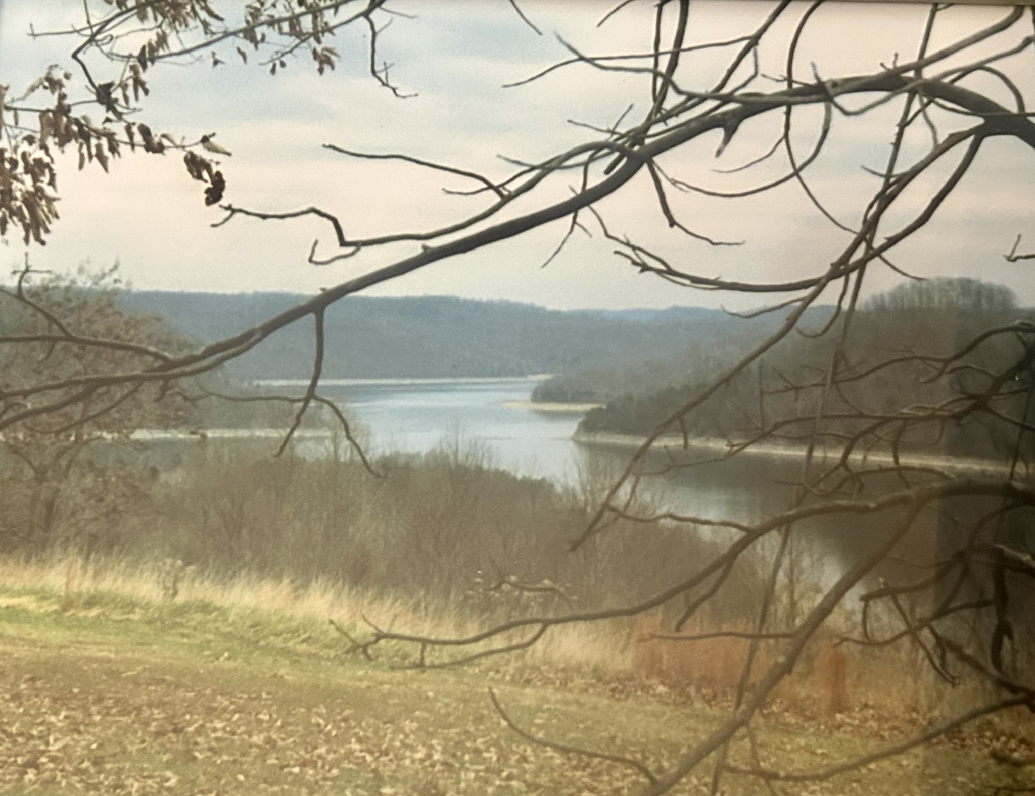 280 Timber Lane Sparta, TN 38583 - Photo 13 of 63
