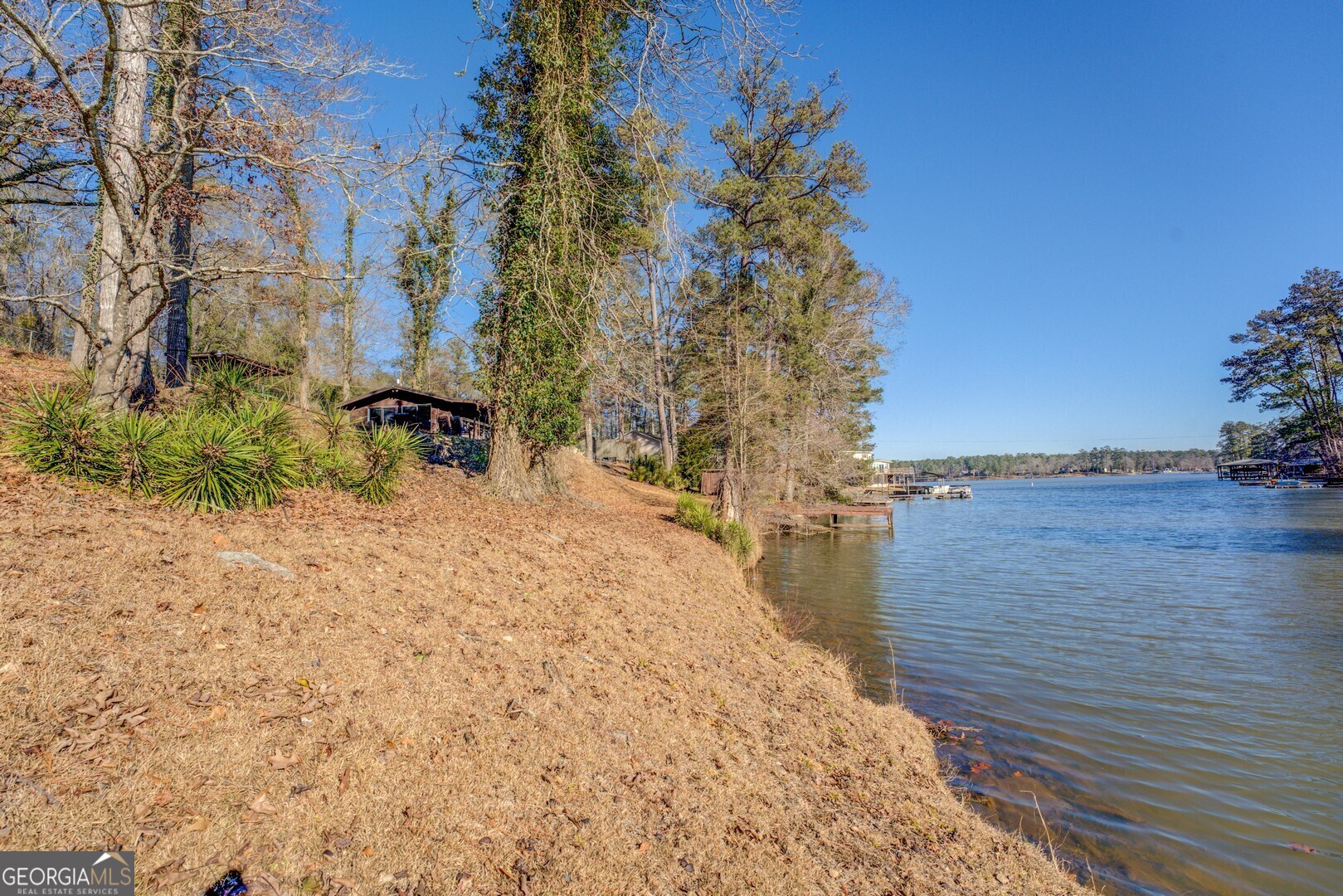126 Shannon Way Jackson, GA 30233 - Photo 16 of 36 a view of a backyard of the house