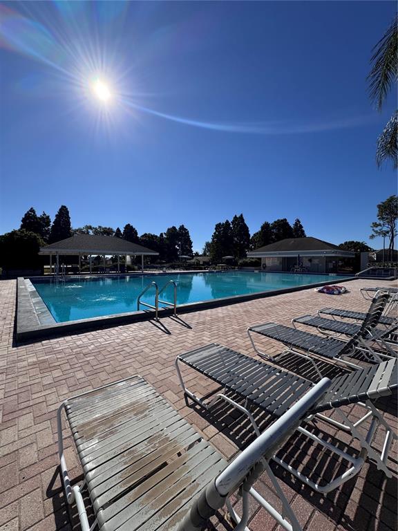 10801 Brickside Court Riverview, FL 33579 - Photo 15 of 16 a view of a backyard