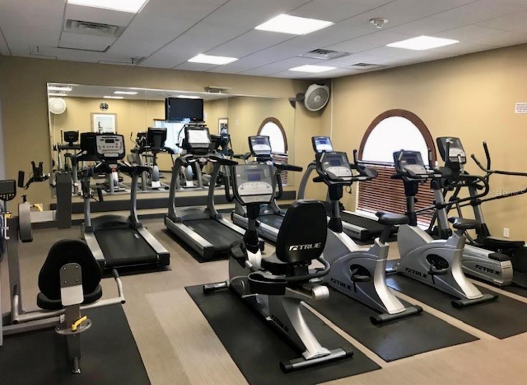 10801 Brickside Court Riverview, FL 33579 - Photo 16 of 16 a room with gym equipment and window