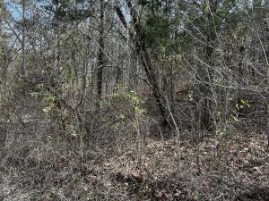 25.71-ac Fork Lick Road Corinth, KY 41010 - Photo 7 of 7 Gallery Image 7