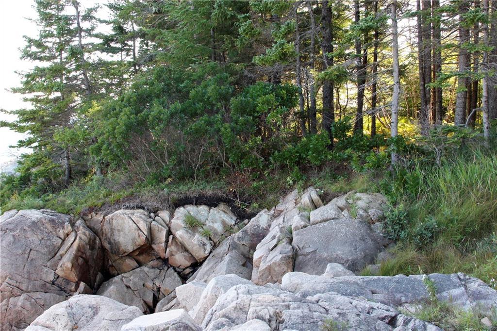 181 Lighthouse Point Road Prospect Harbor, ME 04669 - Photo 10 of 15 The shoreline