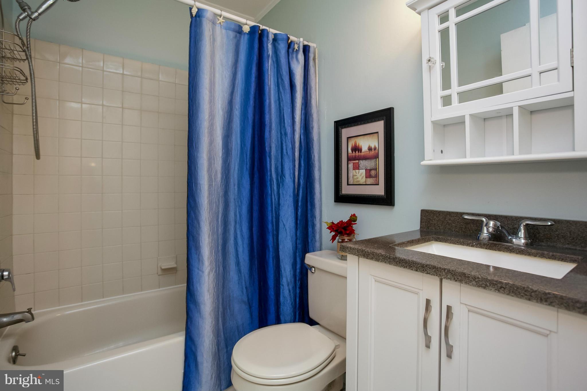 2408 Raintree Avenue Westminster, MD 21157 - Photo 11 of 30 Bath