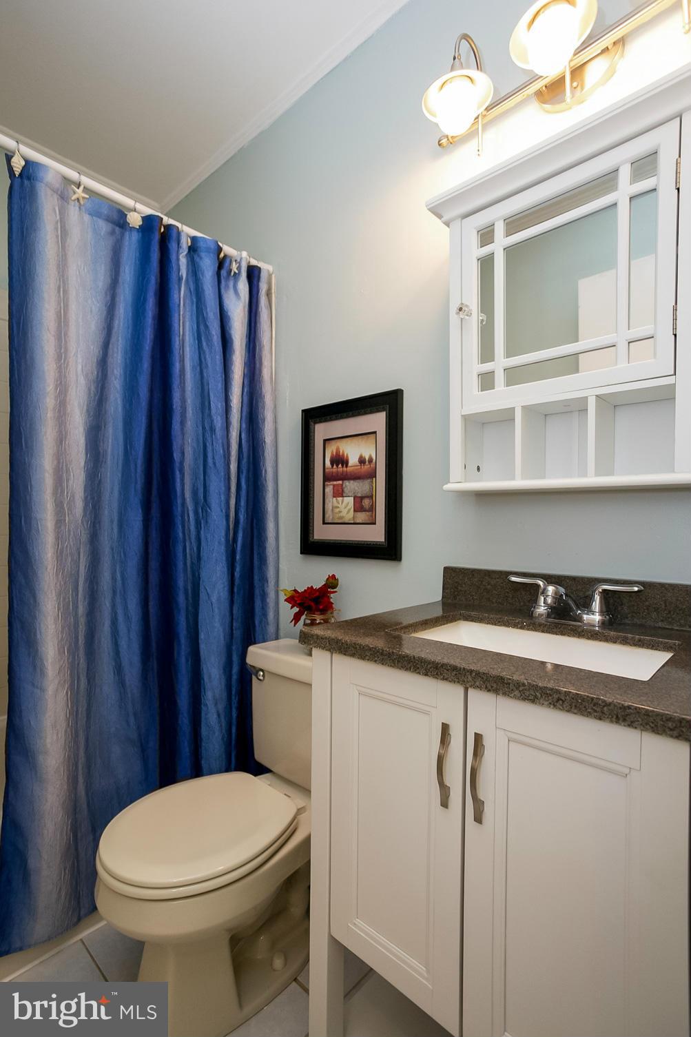 2408 Raintree Avenue Westminster, MD 21157 - Photo 12 of 30 Bath