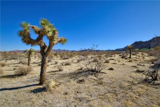 $240,000 | 0 Bonita, San Diego, CA 92120