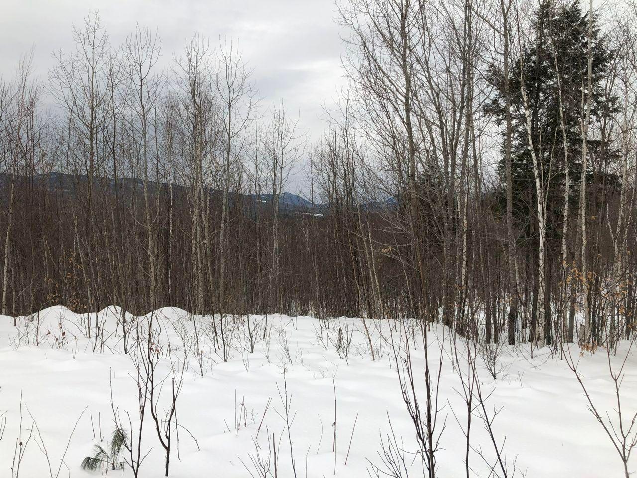 9 Green Hill Road Dixfield, ME 04224 - Photo 11 of 34 lot 9