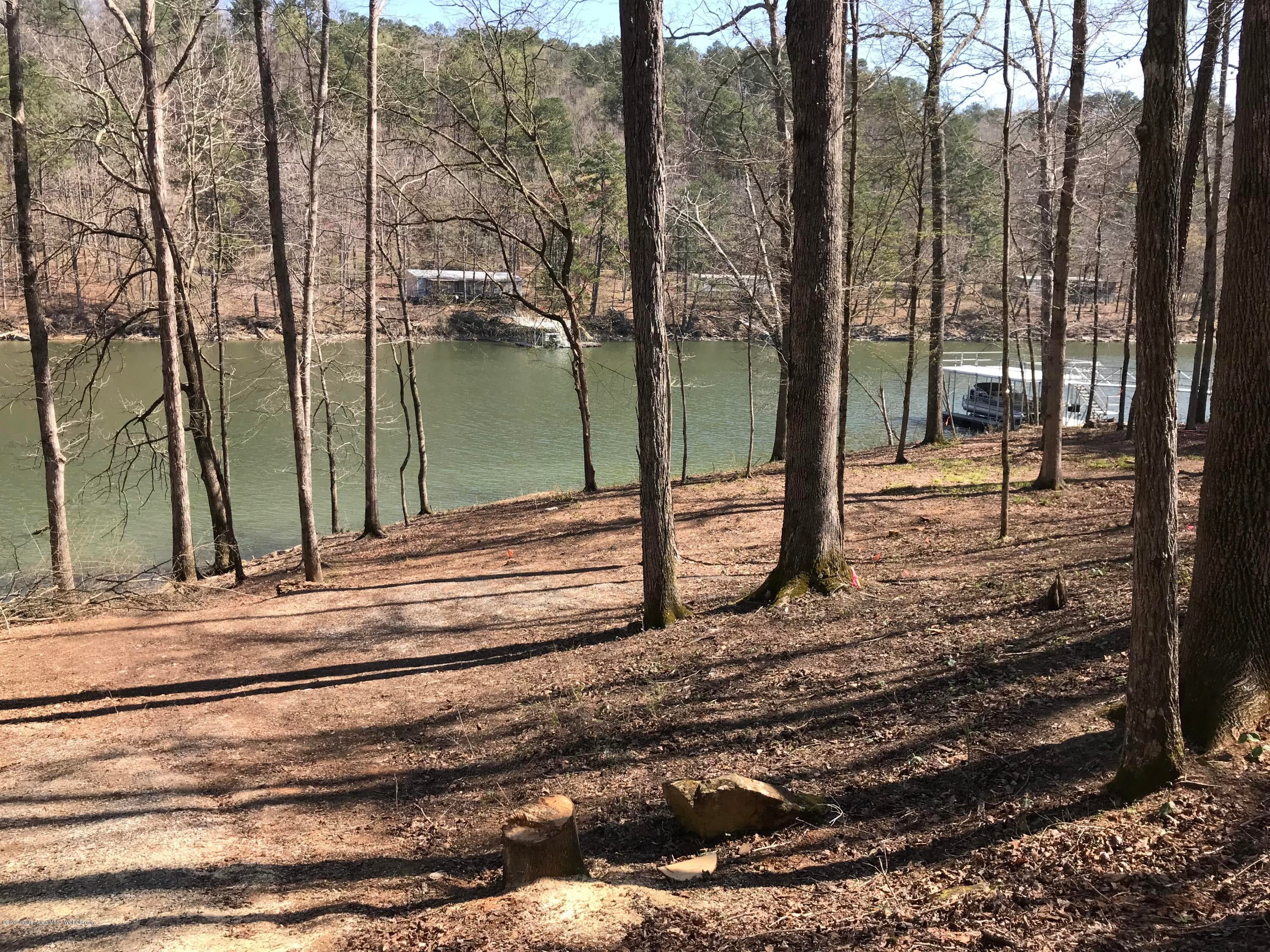 Lot 12 The Ridge Arley, AL 35541 - Photo 2 of 4 Gallery Image 2