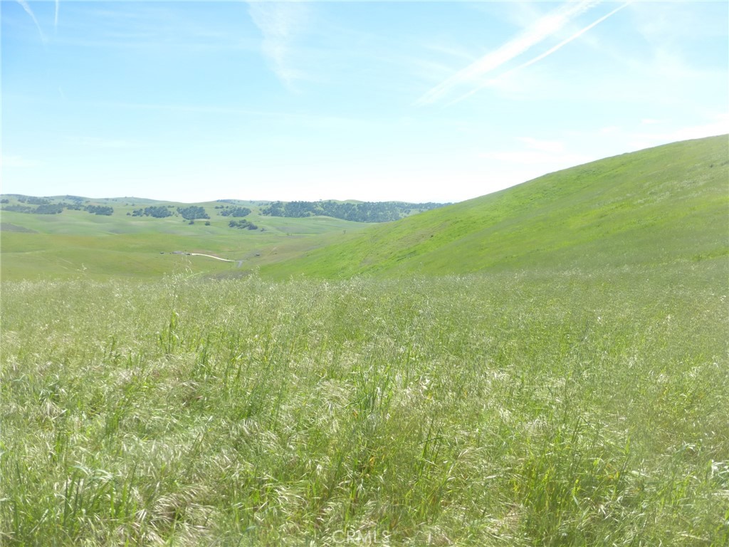 0 Douglas Road San Miguel, CA 93451 - Photo 20 of 44
