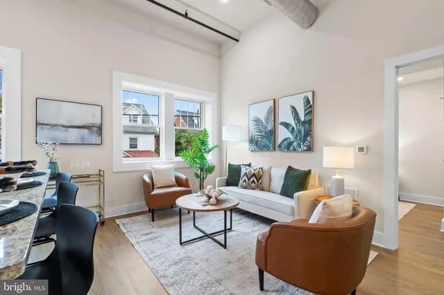 a living room with furniture and a potted plant