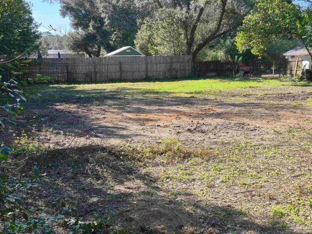 a view of a backyard with large trees