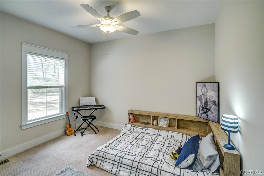 12503 Pinhook Rdg Place Rockville, VA 23146 - Photo 46 of 50 Gallery Image 46