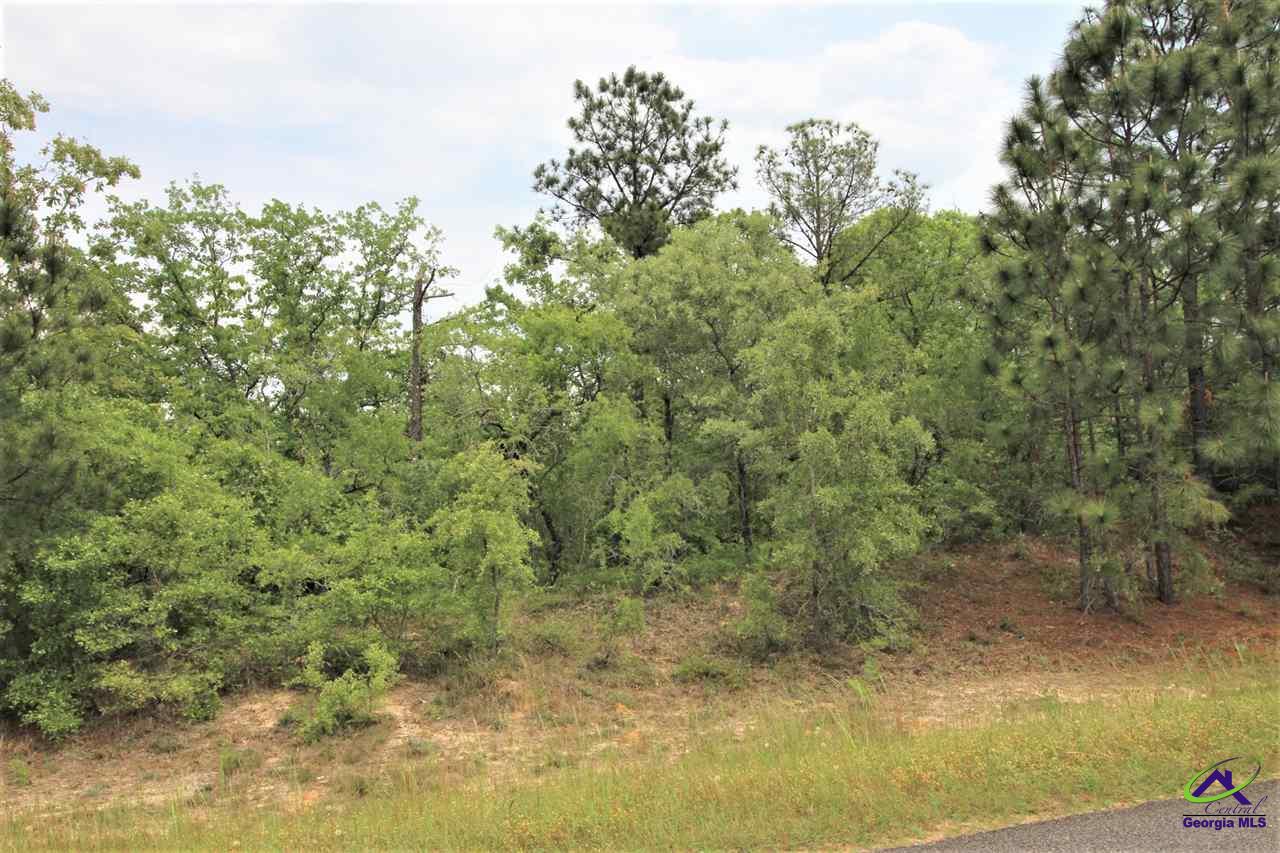 0 Pineknot Road Box Springs, GA 31801 - Photo 10 of 12