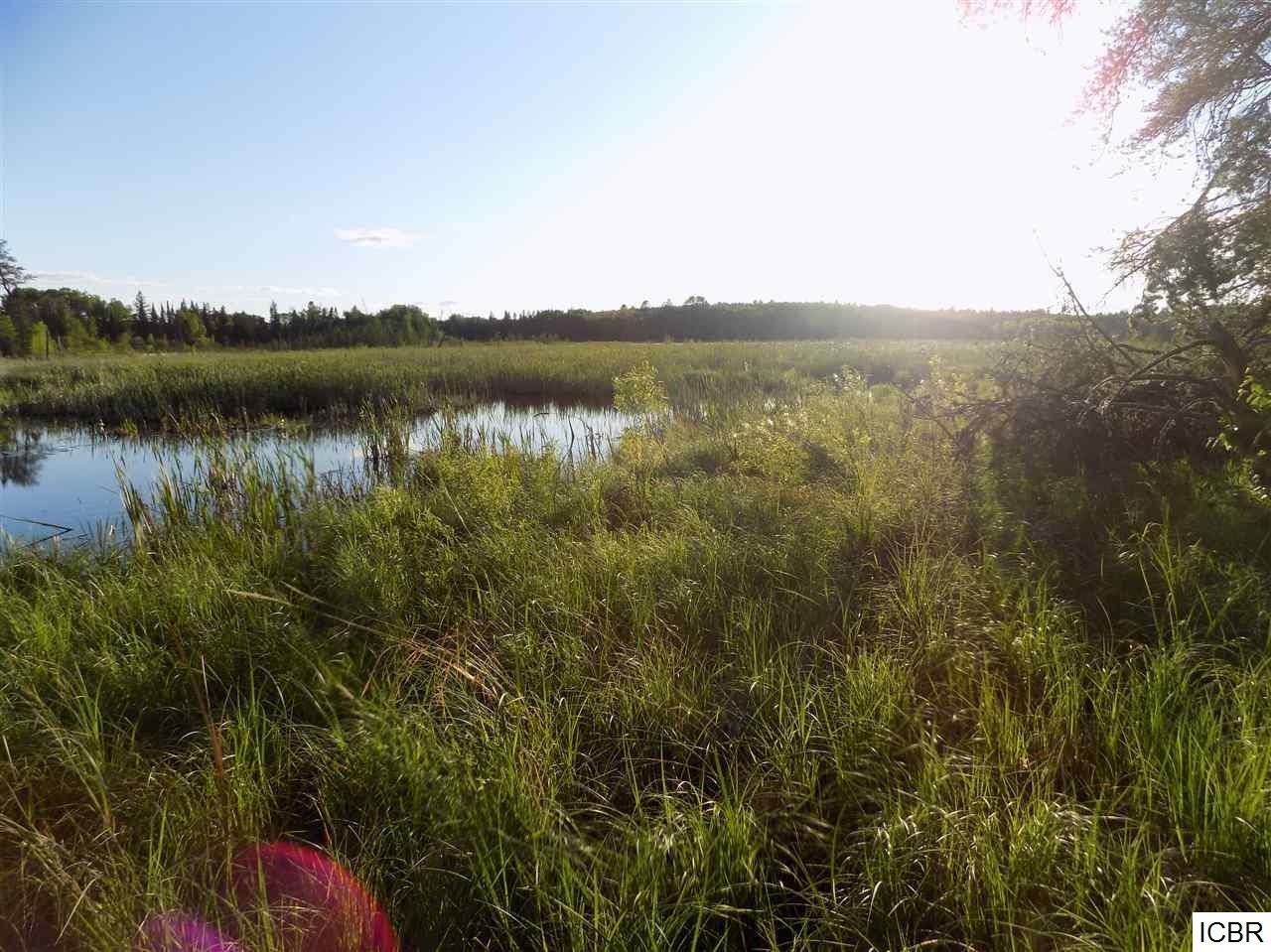 Tbd Tbd Bearville Dump Road Cook, MN 55723 - Photo 1 of 1 Gallery Image 1