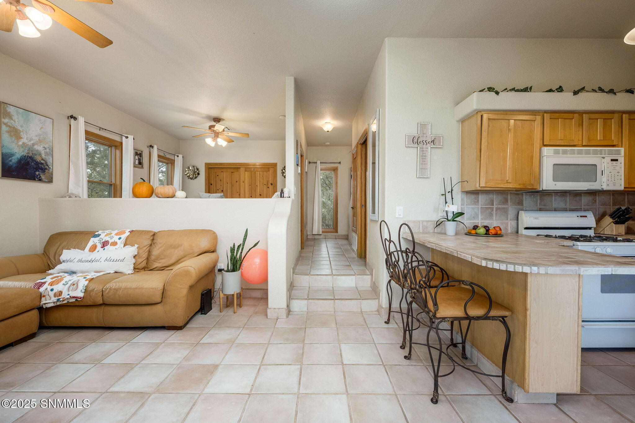 7003 McNutt Road Anthony, NM 88021 - Photo 56 of 89 91-web-or-mls-McNutt 7003-91