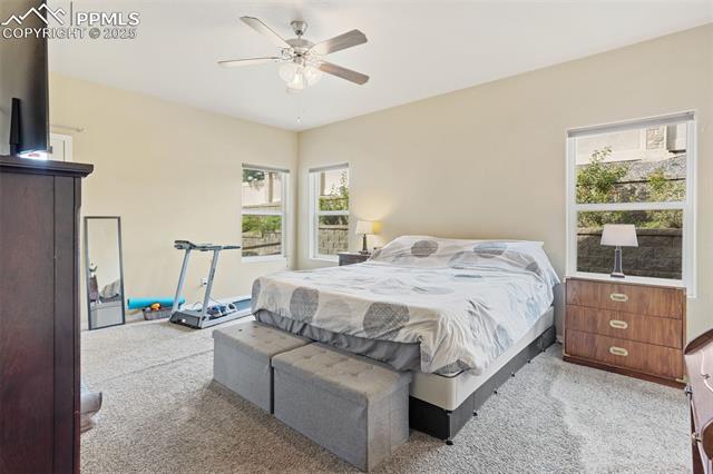 1385 Diamond Rim Drive Colorado Springs, CO 80921 - Photo 20 of 32