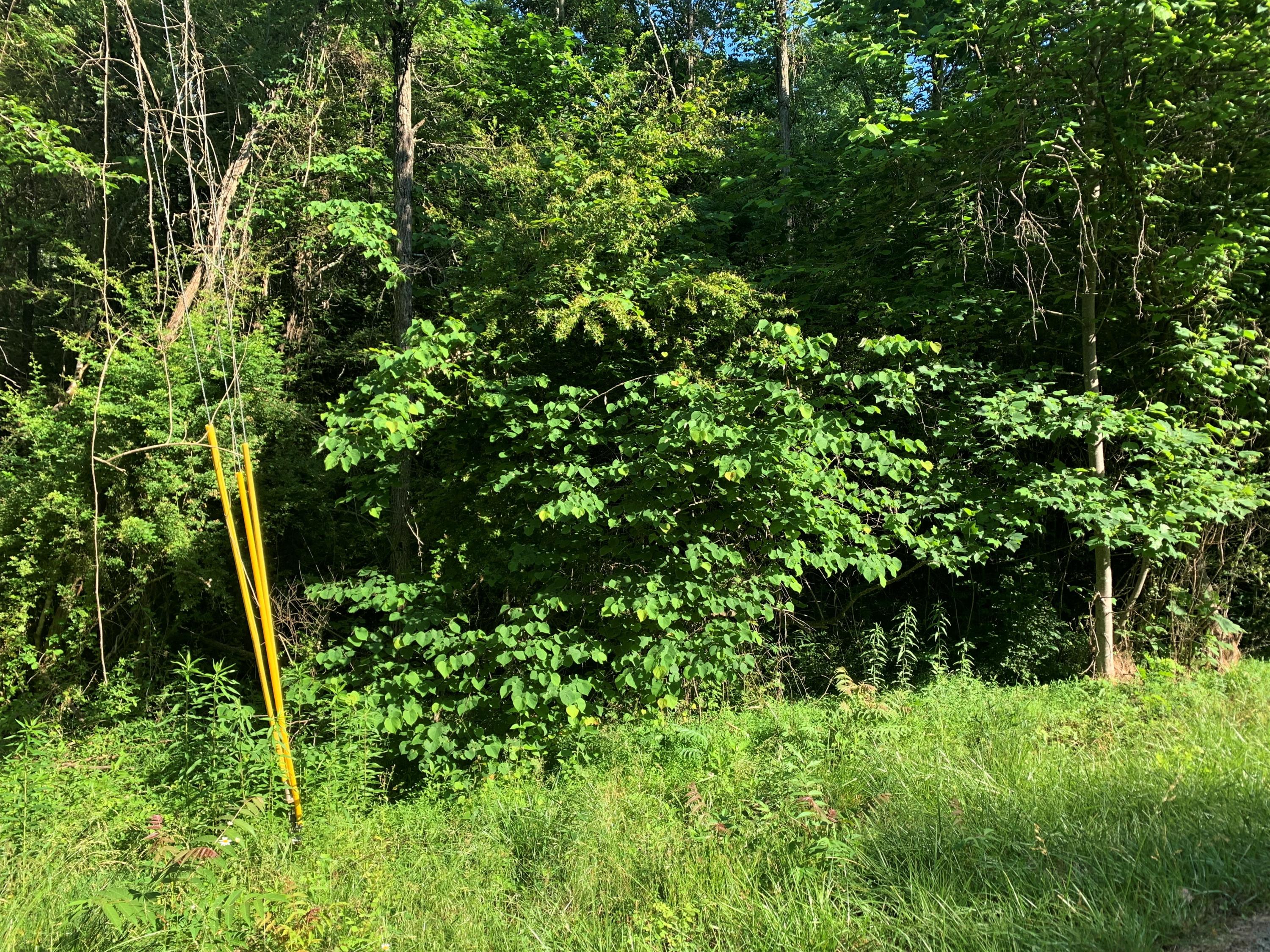 Lot 2 Tucson Road Newport, TN 37821 - Photo 3 of 4 03