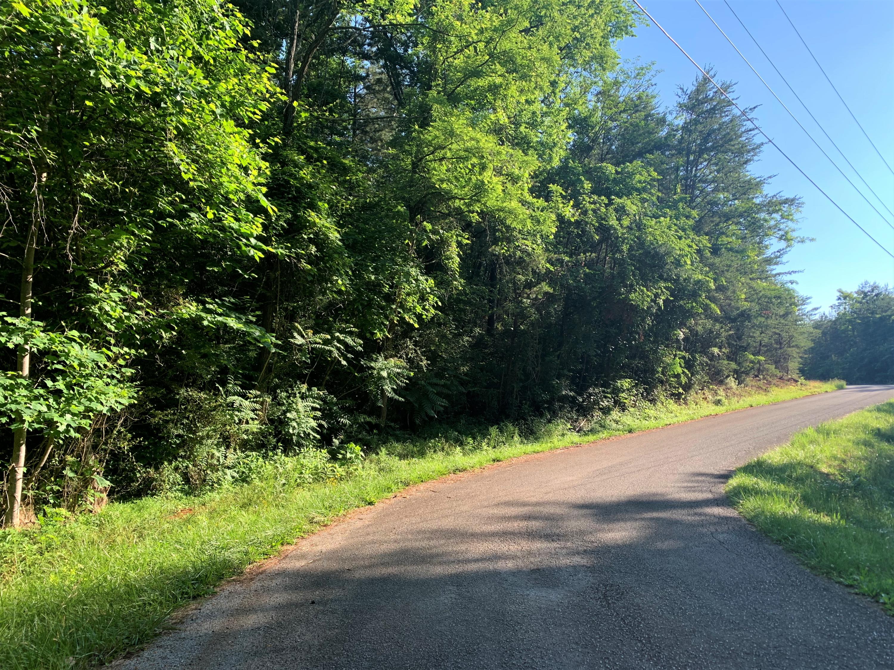 Lot 2 Tucson Road Newport, TN 37821 - Photo 4 of 4 04