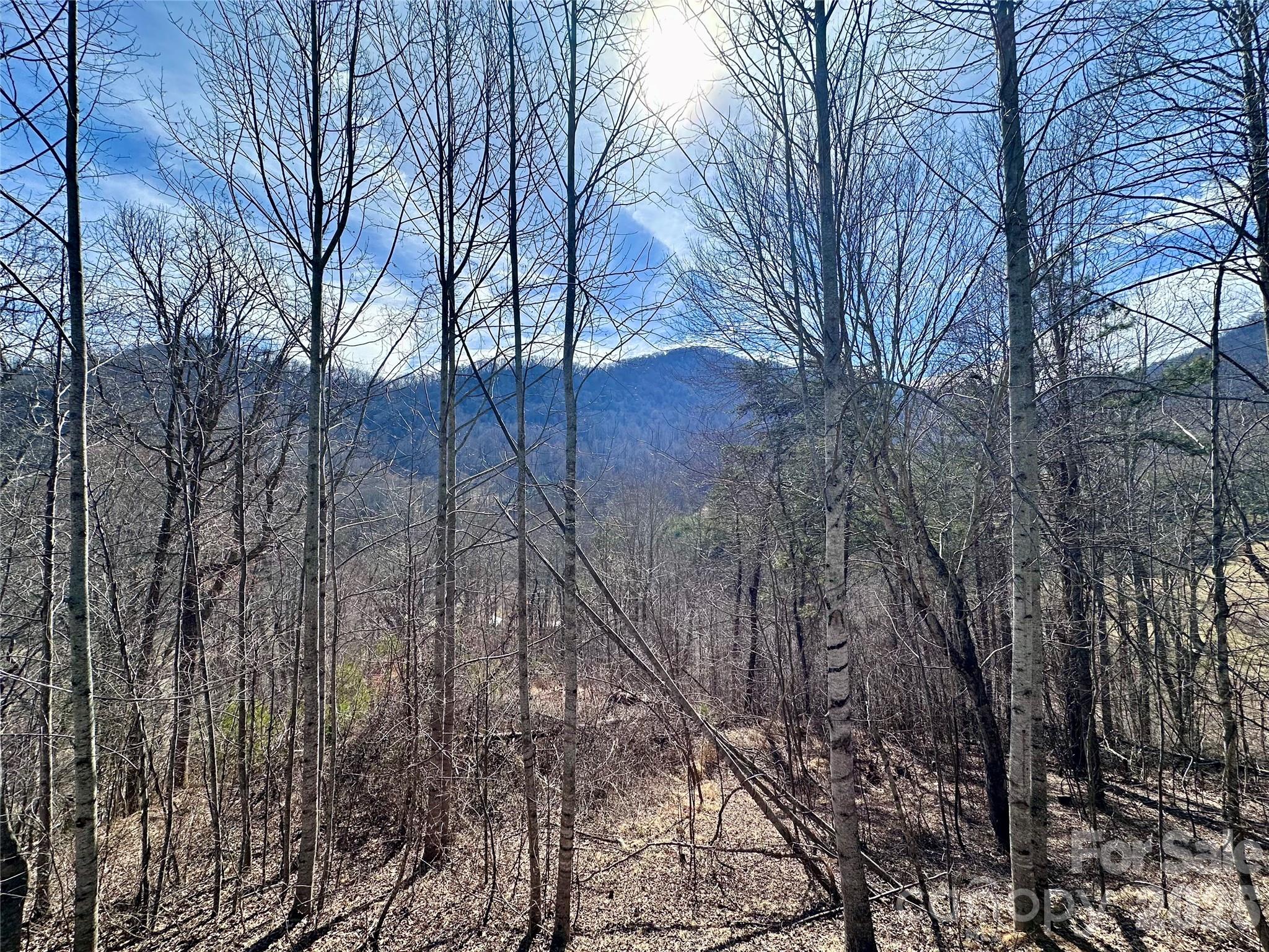 40 Shook Cove Road Leicester, NC 28748 - Photo 2 of 48