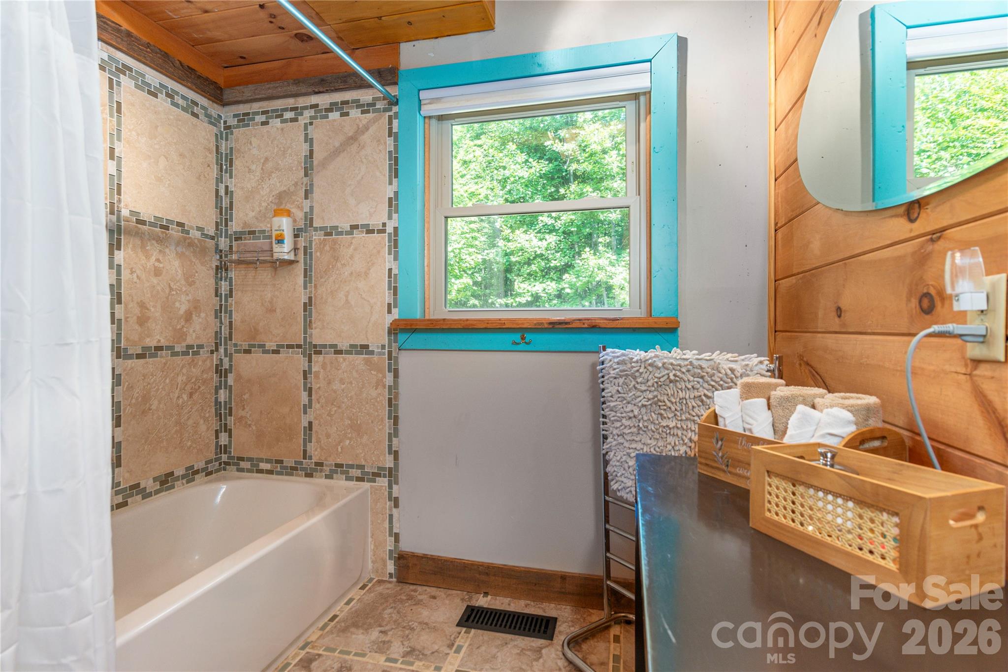 40 Shook Cove Road Leicester, NC 28748 - Photo 23 of 48