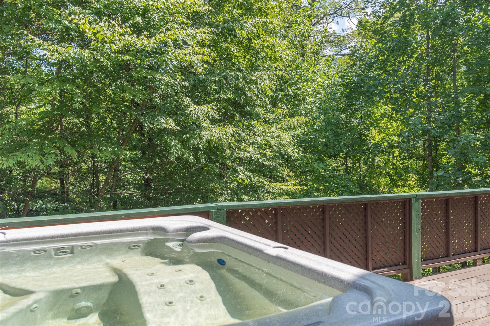 40 Shook Cove Road Leicester, NC 28748 - Photo 46 of 48