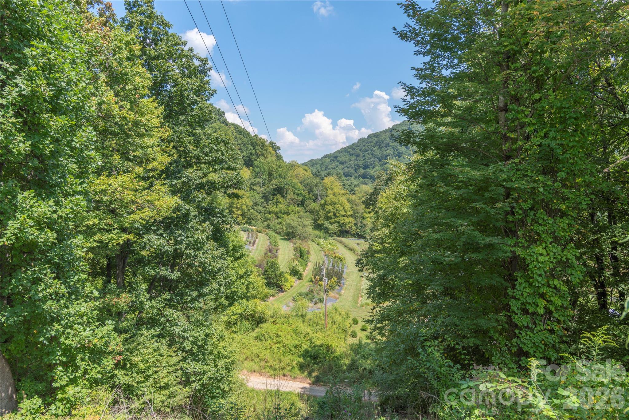 40 Shook Cove Road Leicester, NC 28748 - Photo 48 of 48