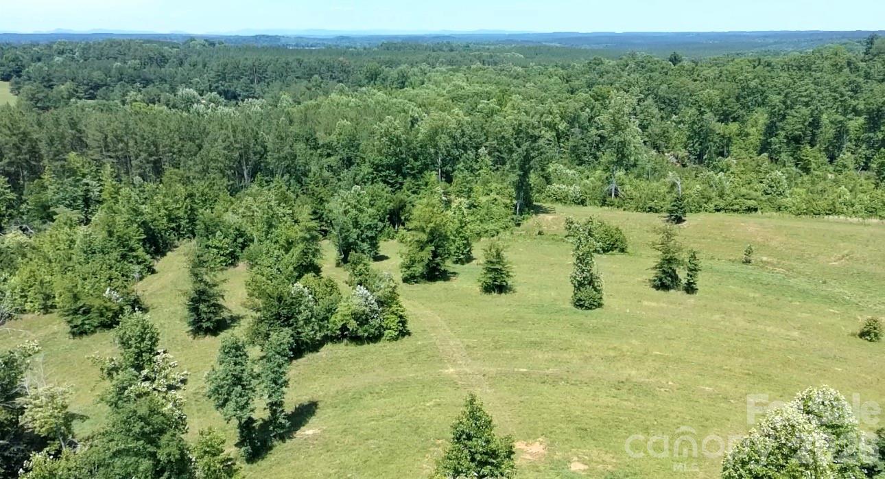 473 McEntire Road Tryon, NC 28782 - Photo 16 of 18