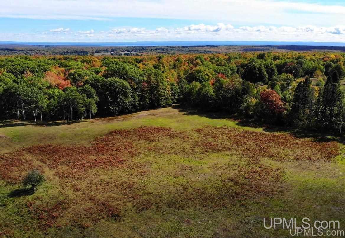 40340 Upper Worham Road Chassell, MI 49916 - Photo 6 of 48 Gallery Image 6