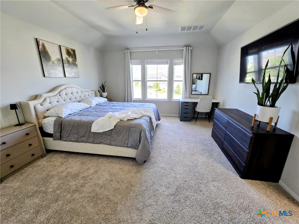 236 Blue Agate Court Jarrell, TX 76537 - Photo 9 of 21