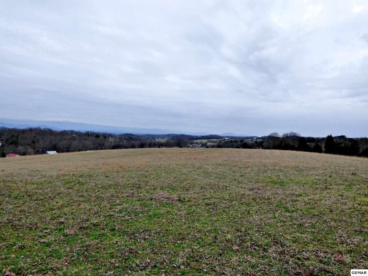 5 Valley Home Road Dandridge, TN 37725 - Photo 15 of 29 Gallery Image 15