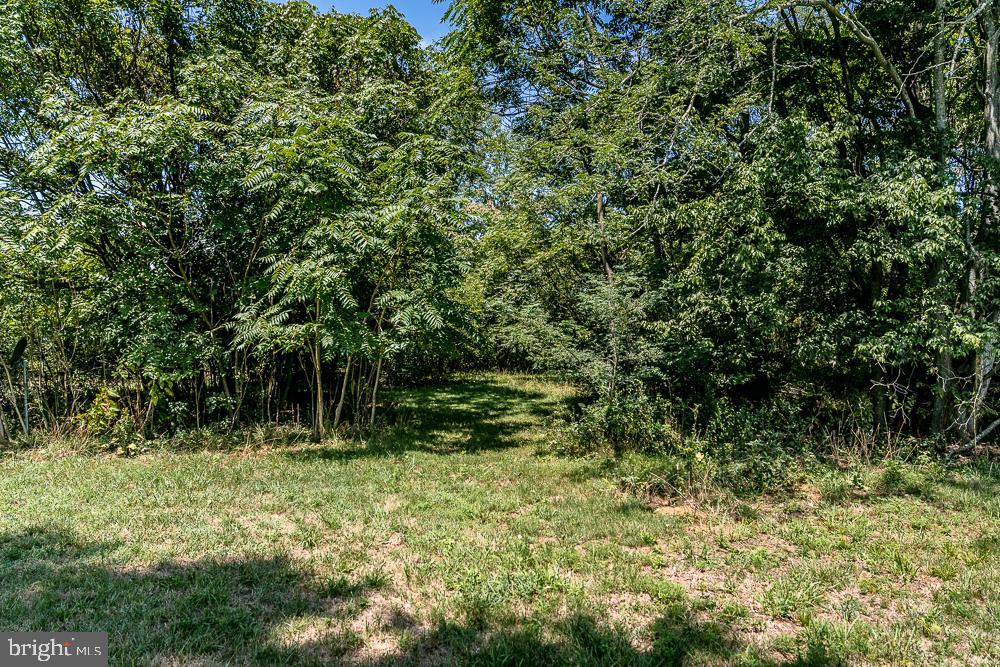 21055 Old Orange Road Culpeper, VA 22701 - Photo 46 of 46 Gallery Image 46