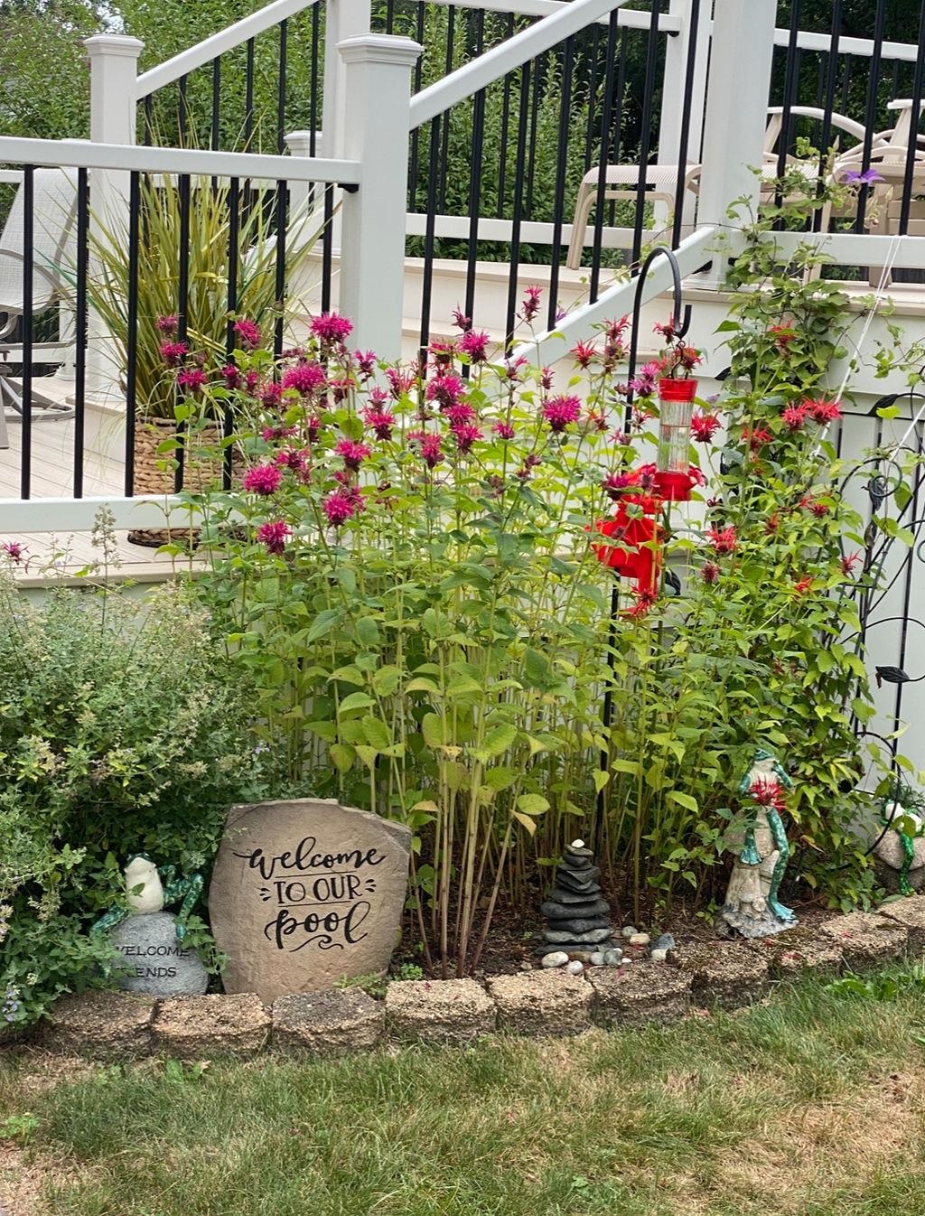 27 Hampshire Avenue Rochester, NH 03867 - Photo 39 of 44