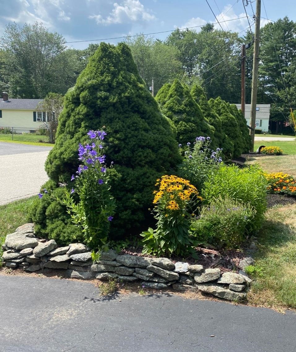 27 Hampshire Avenue Rochester, NH 03867 - Photo 40 of 44