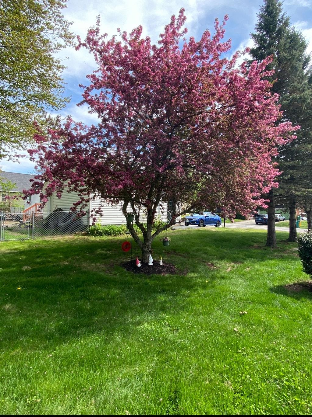 27 Hampshire Avenue Rochester, NH 03867 - Photo 42 of 44