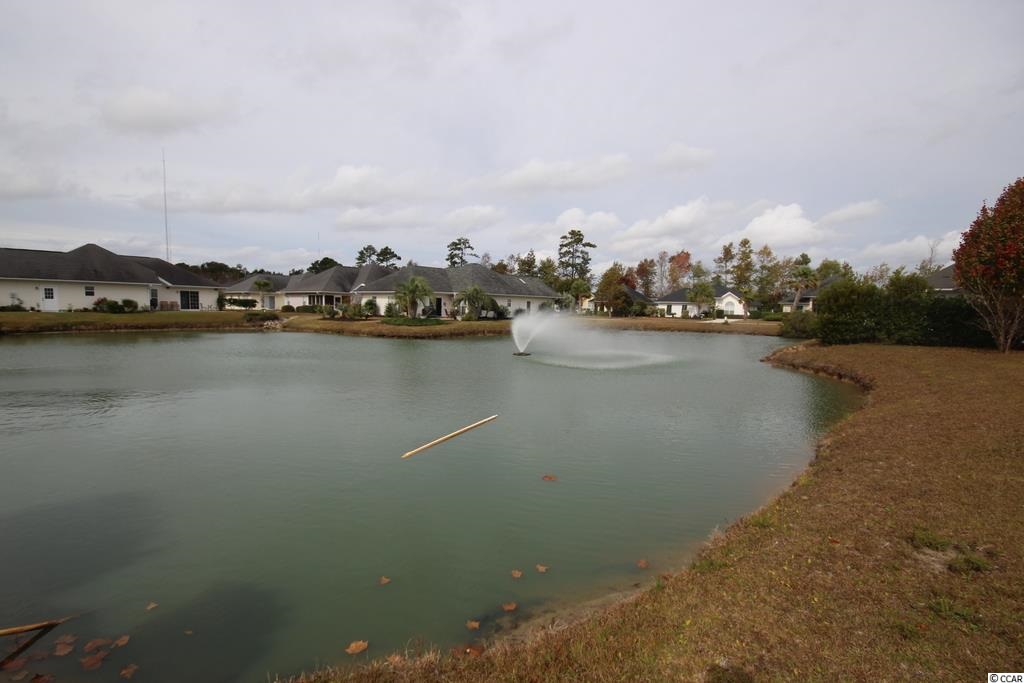 9909 Largo Court Murrells Inlet, SC 29576 - Photo 3 of 25 Gallery Image 3