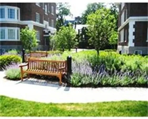 a view of a bench in a garden