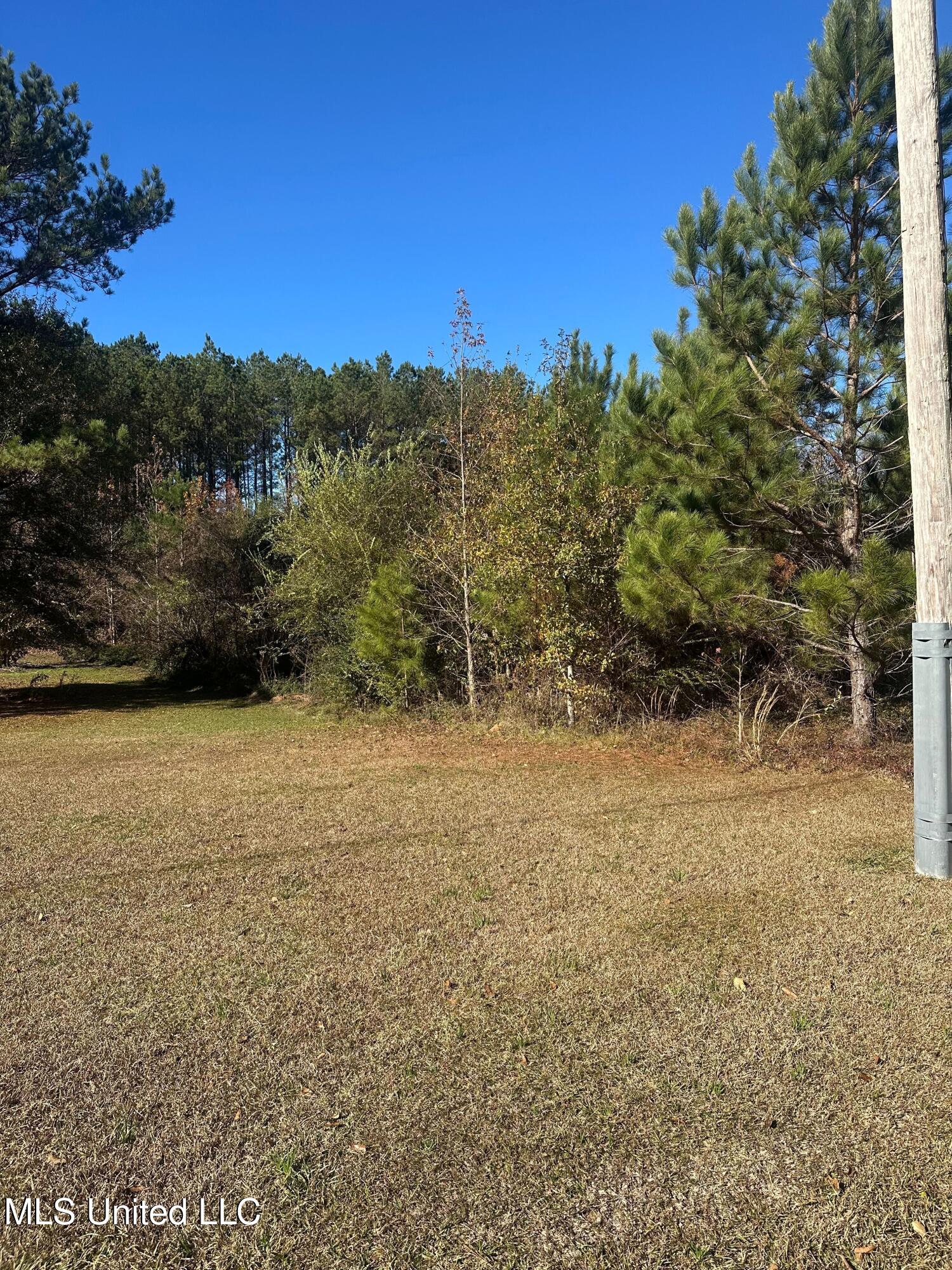 Deer Ridge Road McComb, MS 39648 - Photo 12 of 15 IMG_4240