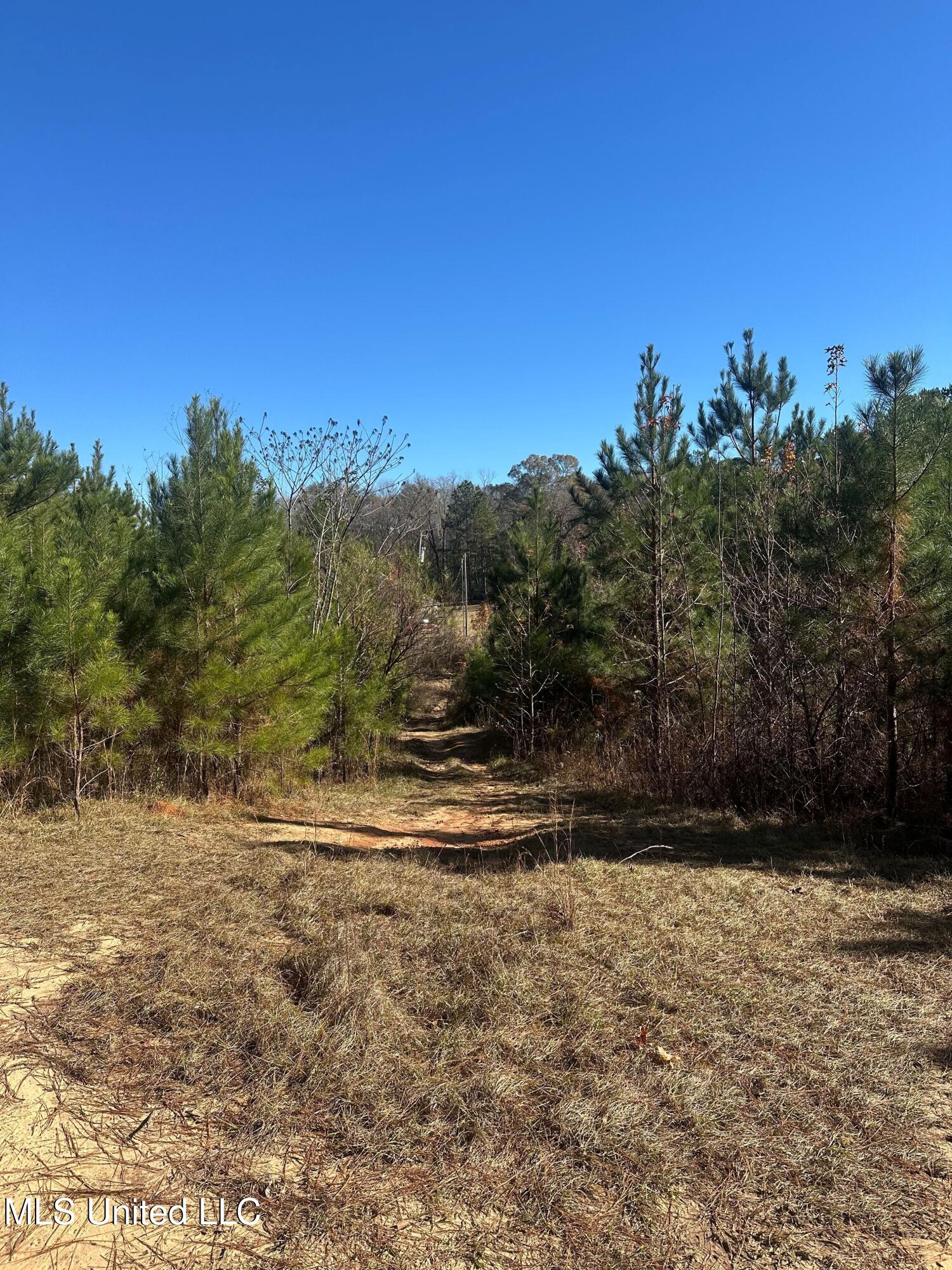 Deer Ridge Road McComb, MS 39648 - Photo 15 of 15 IMG_4238