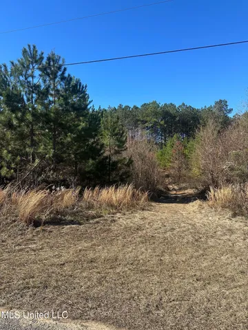 $28,500 | Deer Ridge Road, McComb, MS 39648
