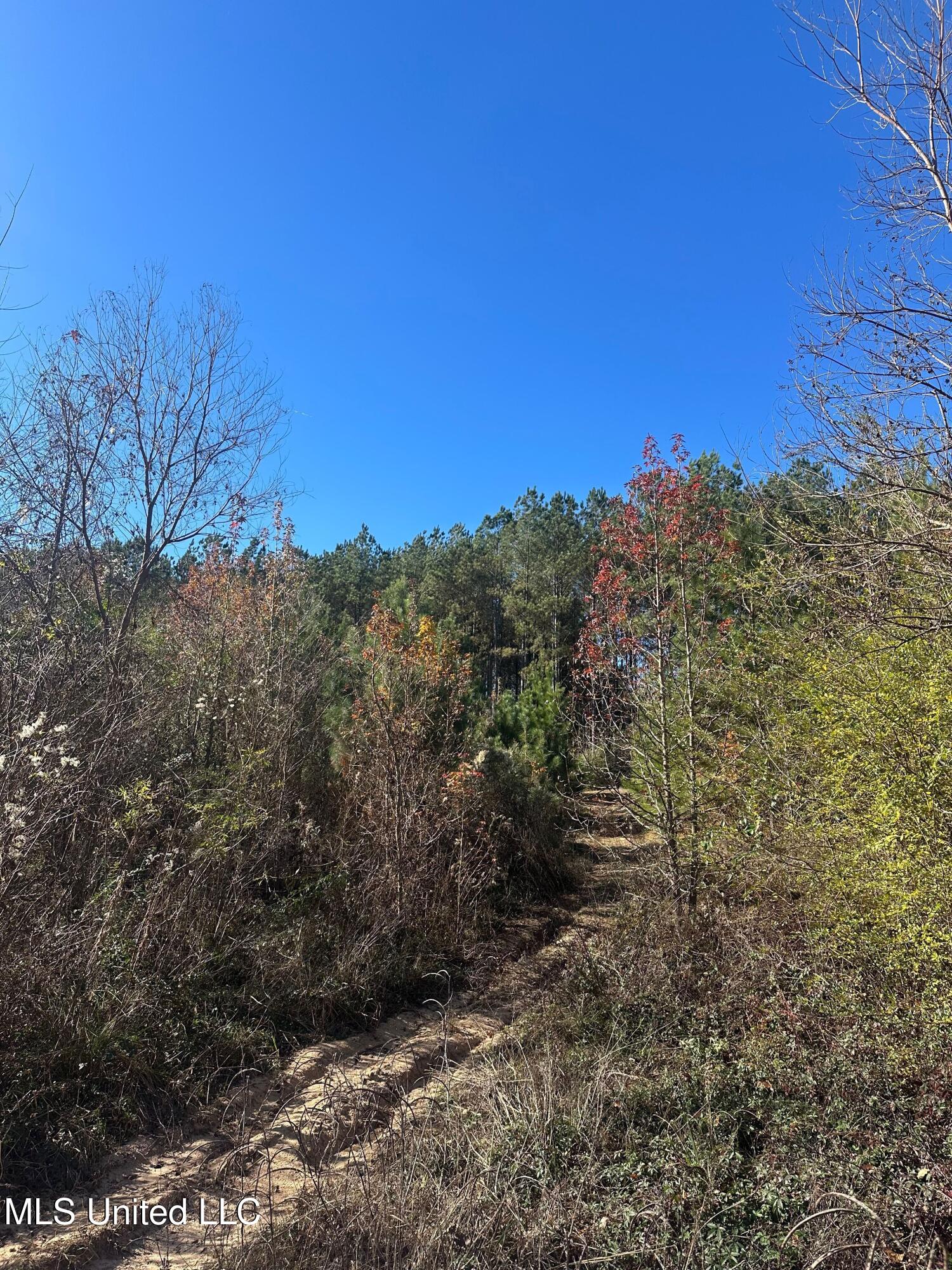 Deer Ridge Road McComb, MS 39648 - Photo 9 of 15 IMG_4233
